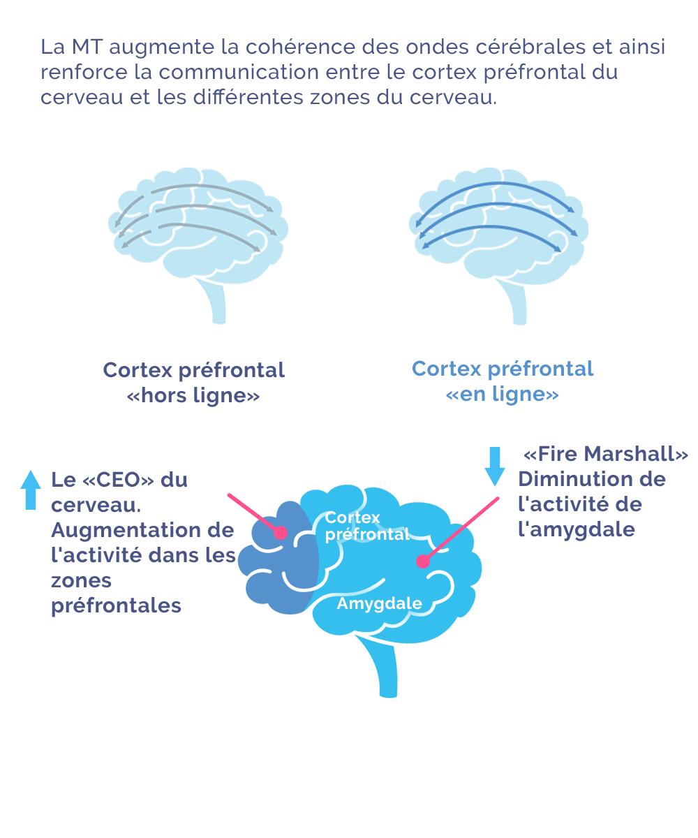 TM's effect on cortisol